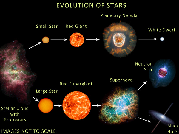 Possable
                          Life Cycles of a Star