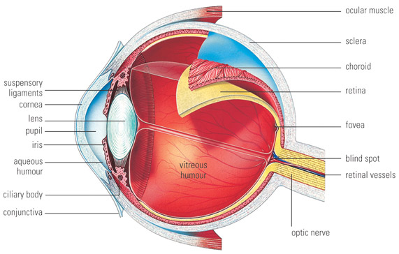 Eye diagram