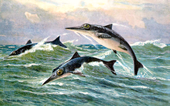 An artists rendition of a group of ichthyosaurs. http://upload.wikimedia.org/wikipedia/commons/b/b3/Ichthyosaur_hharder.png