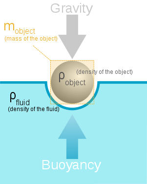 http://en.wikipedia.org/wiki/Buoyancy