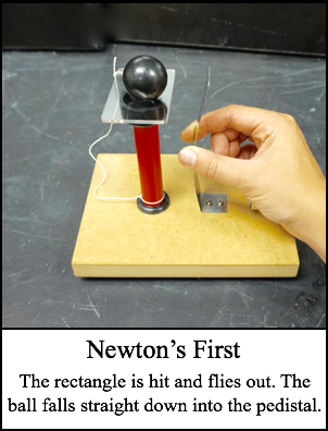 Newtons First