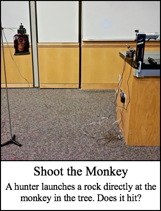 Shoot the Monkey