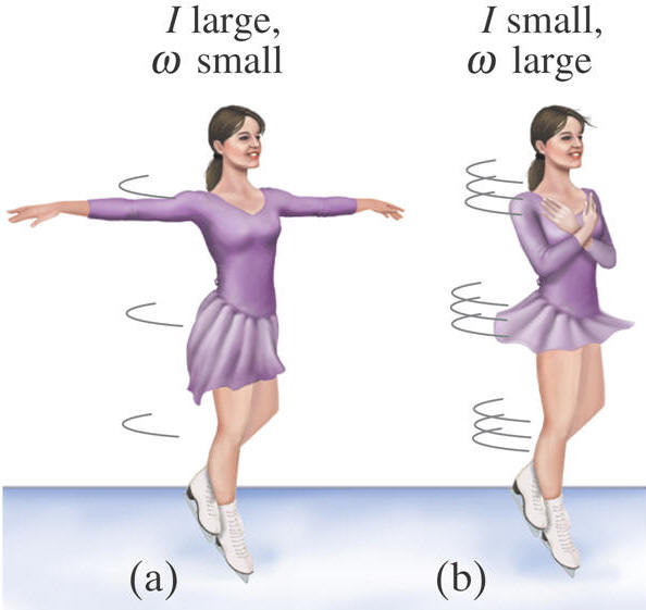 Albums 103+ Background Images Types Of Moves In Figure Skating Updated