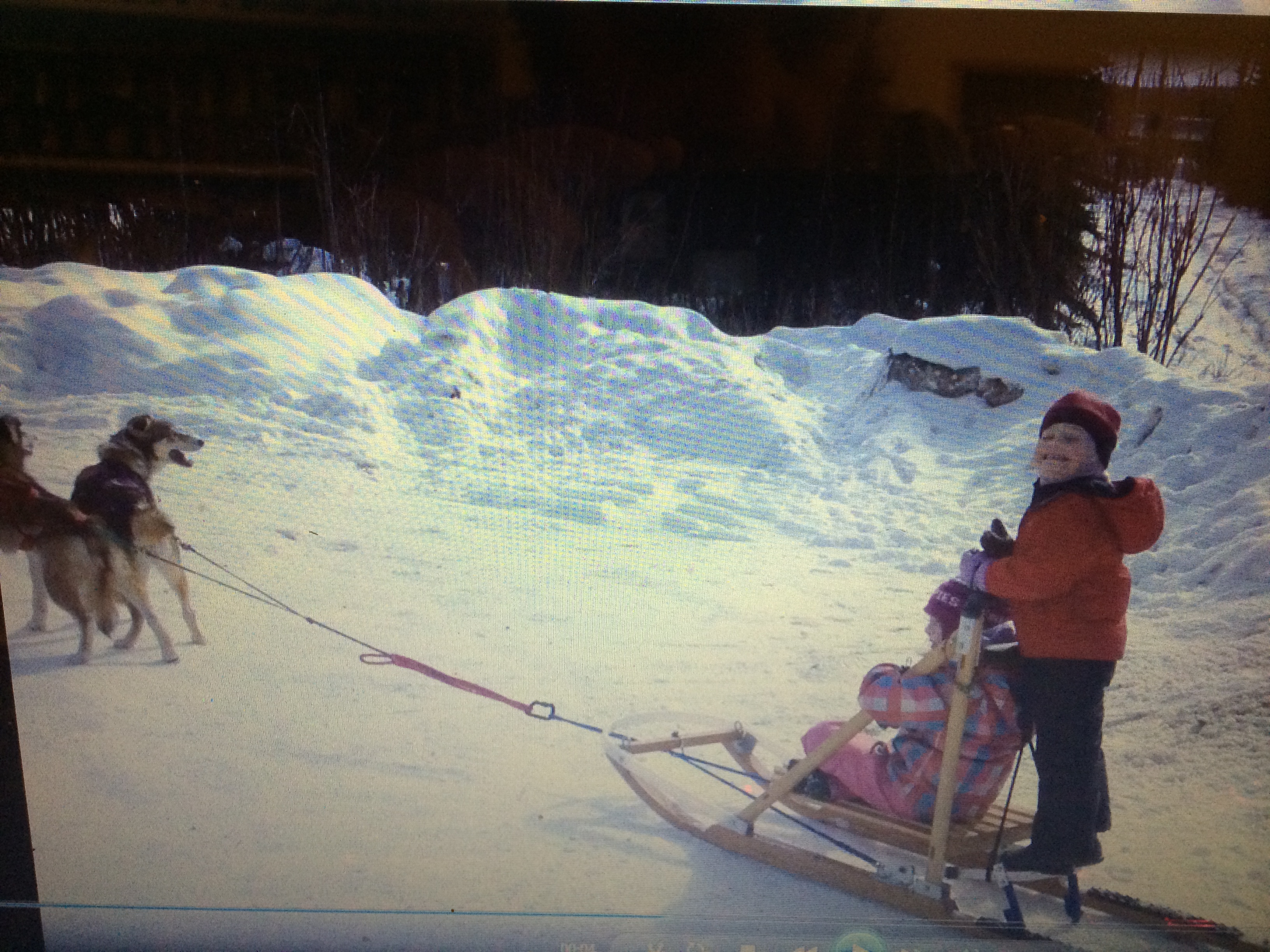 thea on dog sled