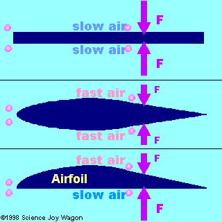Different wing shapes