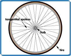 Wheel with tangential
            spoking