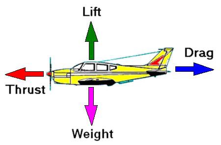 Free
body diagram