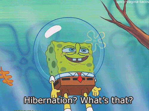 what is hibernation