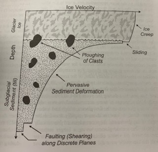 subglacial sediment deformation