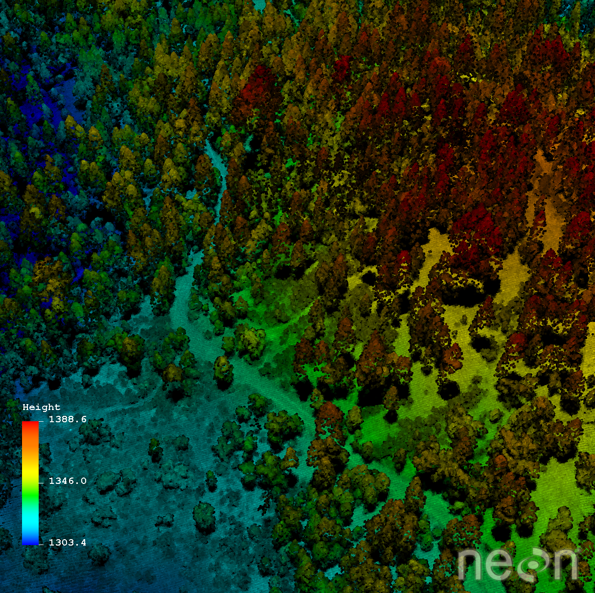Image of a LiDAR
                      Data Scan From the Soaproot Saddle Site by the
                      NEON AOP.
